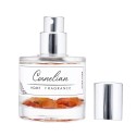Home Fragrância Cornalina 30 ml