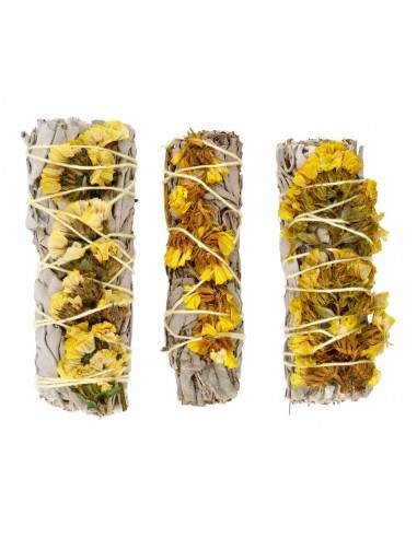 White Sage with Yellow Sinuata