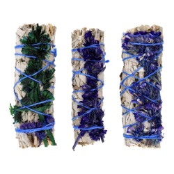 Sauge blanche avec Sinuata bleu