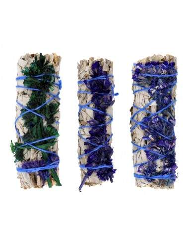 White Sage with Blue Sinuata