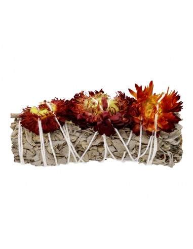 Salvia bianca con sempreverde