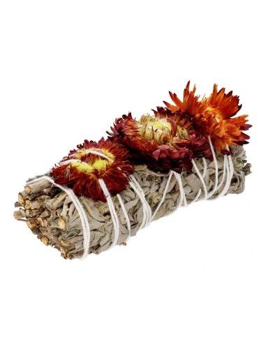 Salvia bianca con sempreverde