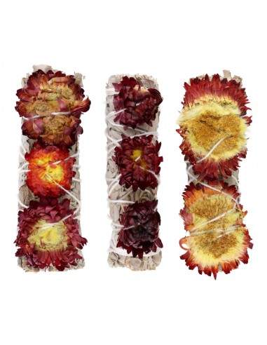 Salvia bianca con sempreverde