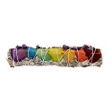 Large White Sage with Chakra Petals