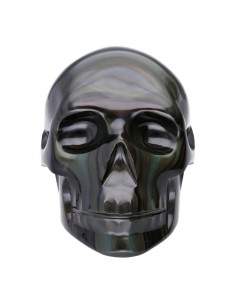 Crâne arc-en-ciel en...