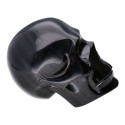 Teschio di Obsidiana Arcobaleno