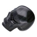 Teschio di Obsidiana Arcobaleno