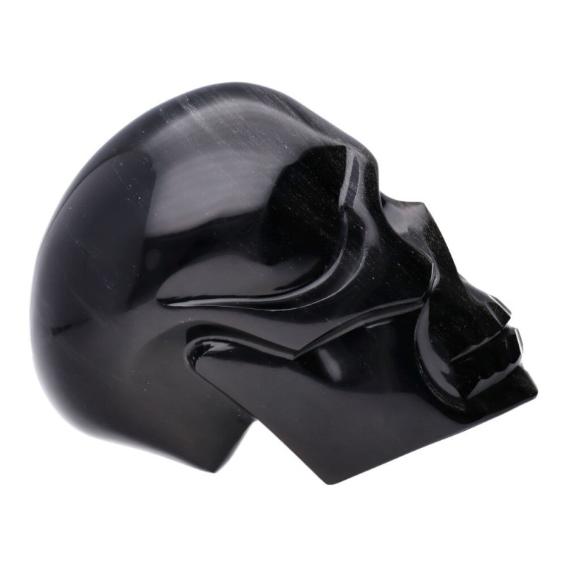 Teschio di Obsidiana Argentata