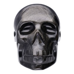 Teschio di Obsidiana Argentata