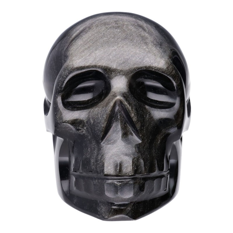 Teschio di Obsidiana Argentata