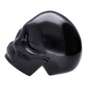 Calavera de Obsidiana Plateada