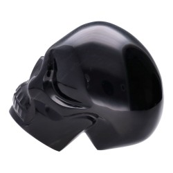 Teschio di Obsidiana Argentata
