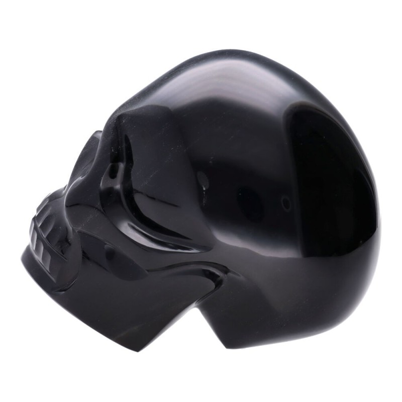 Teschio di Obsidiana Argentata