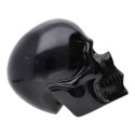 Teschio di Obsidiana Argentata COP2