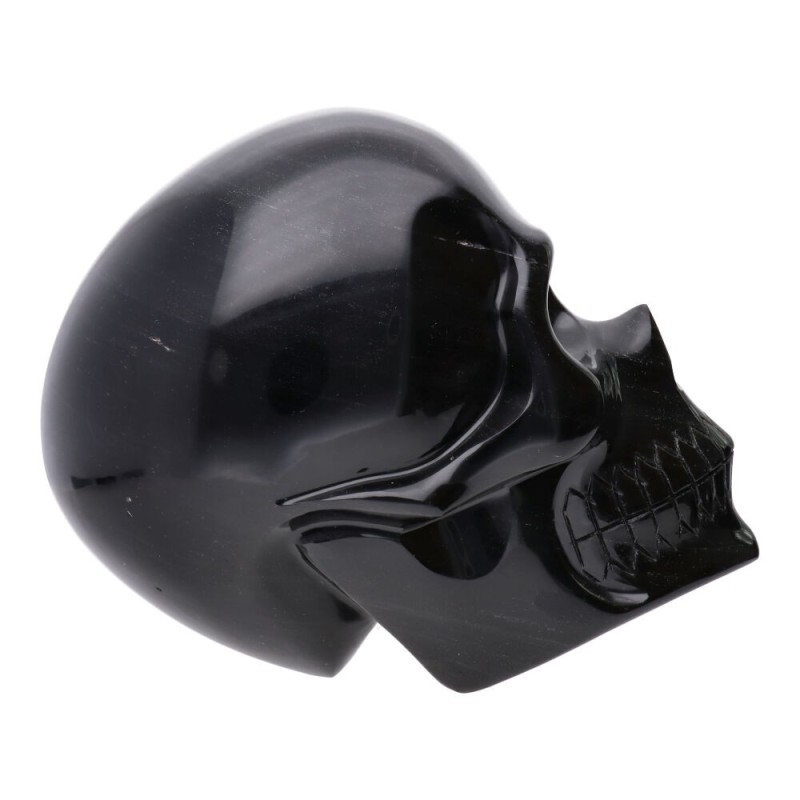 Teschio di Obsidiana Argentata COP2