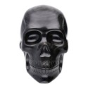Silver Obsidian Skull COP2