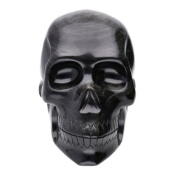 Teschio di Obsidiana Argentata COP2