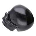 Teschio di Obsidiana Argentata COP2