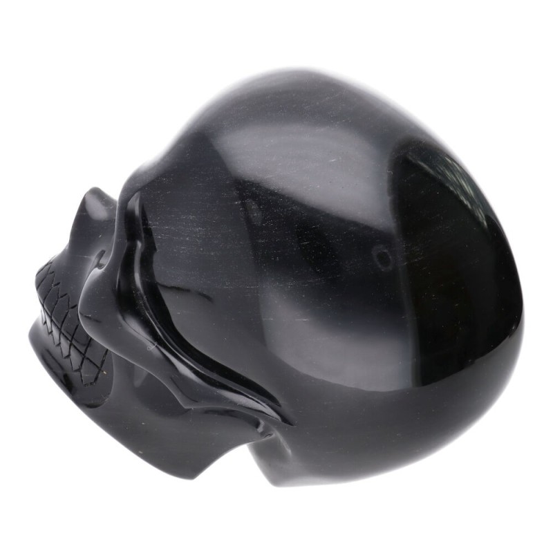 Teschio di Obsidiana Argentata COP2