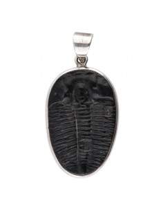 Trilobite Pendant in 925...