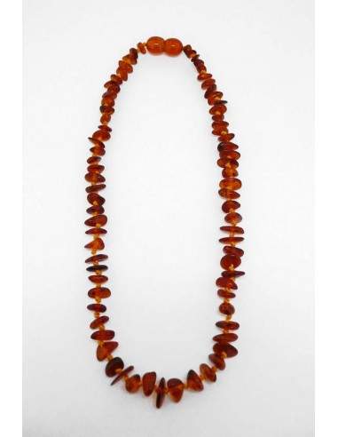 Collare Chip di Ambra Scuro Molto...