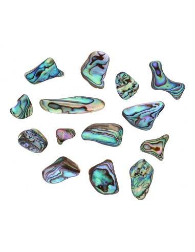 Pieza Pulida de Nácar