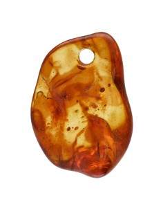 Polished Amber Pendant...