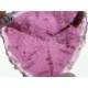 Pink Tourmaline (Rubelite) 58mm