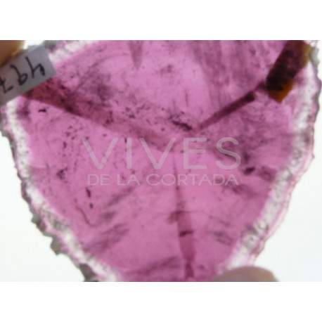 Turmalina rosa , rubelita , Rusia , 58mm