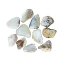 Opal T-5