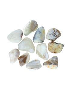 Rodados de Ópalo T-5 2