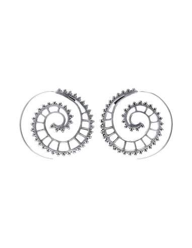 Orecchini placcati in argento (P6)