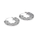 Silver Plated Earrings -P66-