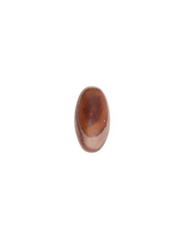 Shiva Lingam Tumbled Mini