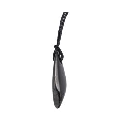 Ciondolo di shungite levigata