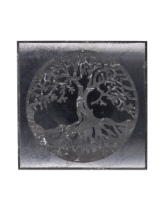 Piastra di Shungite...