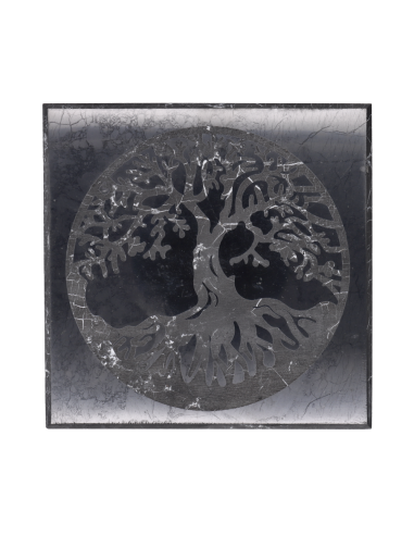 Piastra di Shungite lucidata Albero...
