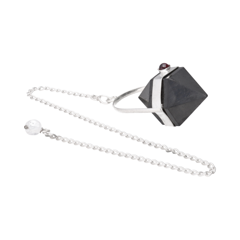 Pendolo Biterminato di Shungite con Granato