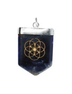 Ciondolo di Sodalite Seme...