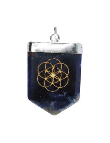 Ciondolo di Sodalite Seme della Vita...