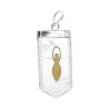 Mother Earth Quartz Pendant in Silver Plating