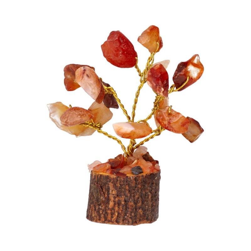 Pacchetto di 12 Mini Alberi con Minerali