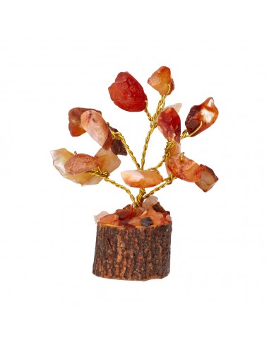 Pack de 12 Mini Árboles con Minerales