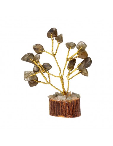 Pacco di 12 mini alberi con minerali