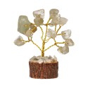 Conjunto de 12 mini árvores com minerais