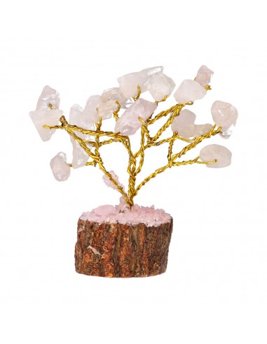 Pacco di 12 mini alberi con minerali