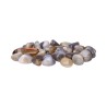 Agate grise Rhodies 3 x 2cm