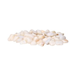 Rodati di Opale 2x1cm