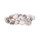 3x2cm Moonstone Rhodies