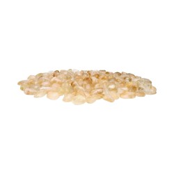 Citrine chauffée Rhodiola 2,5x1,5cm